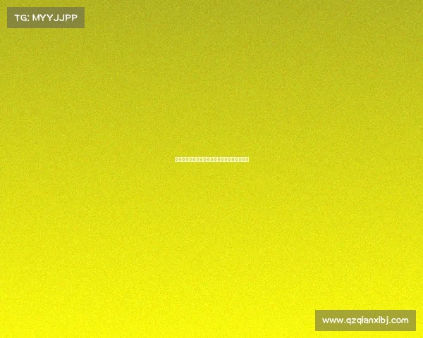 勒阿弗尔城市风貌探索与文化遗产保护现状分析 勒阿弗尔城市风貌探索与文化遗产保护现状分析