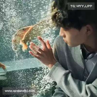 史彤谨